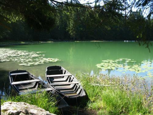 Apartamento Home Nantua Studio Meubl�s Ain-jura