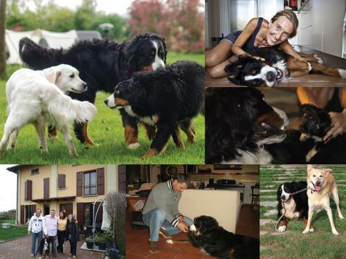 Agroturismo B&B Torricella