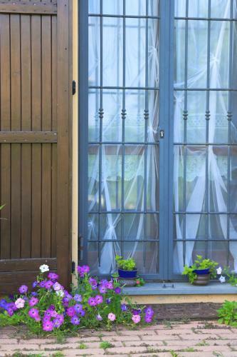 Agroturismo B&B Torricella