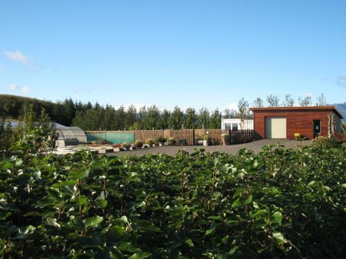 Hostal Dilksnes Guesthouse