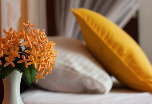 Bed & Breakfast Villa Taprobane
