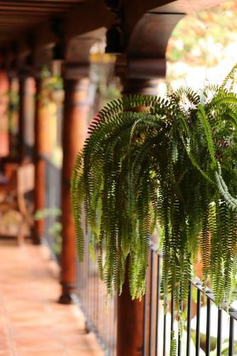 Hotel Palacio De Do�a Beatriz