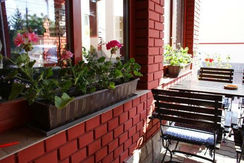 Hotel Palota City
