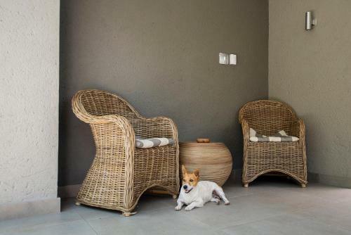 Hostal Birds Babble Self Catering Guesthouse