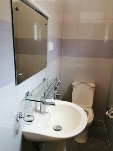 Hotel Alfred Court Accommodation