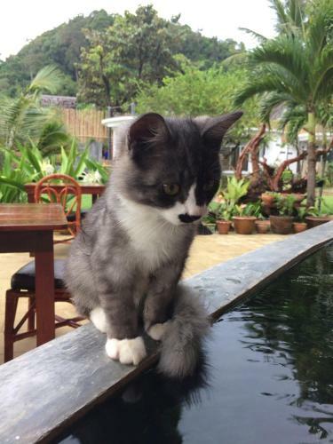 Hotel Yao Yai Resort