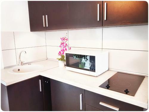 Vivulskio Vip Apartments