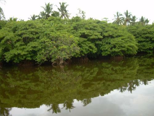 Hostal Bandhusena House & Apartment