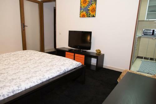 Apartamento Modern Central Studio In Ploiesti