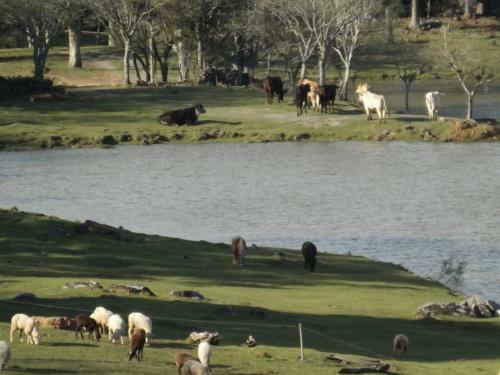 Agroturismo Recanto Dos Pioneiros