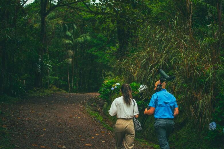 Hotel El Silencio Lodge & Spa