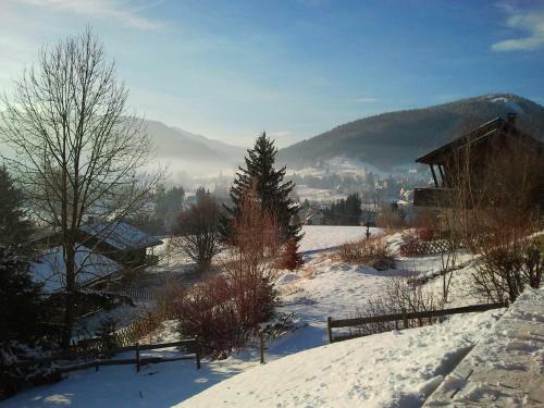 Apartment Pierra Menta