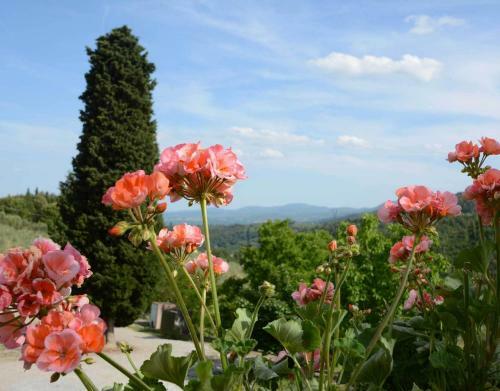 Agroturismo Residenza San Leo
