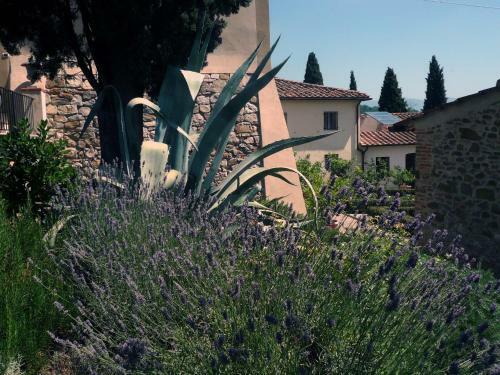 Agroturismo Residenza San Leo