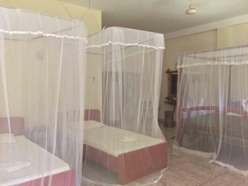 Hostal Palm Grove