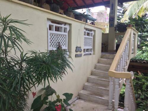 Hostal Palm Grove