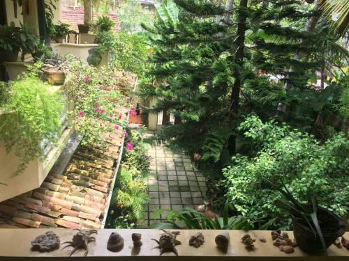 Hostal Palm Grove