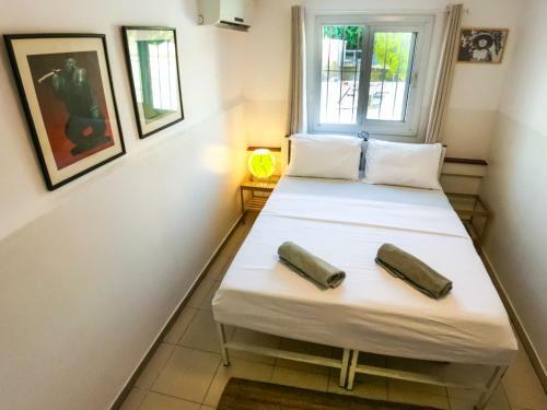 Florentine Backpackers Hostel