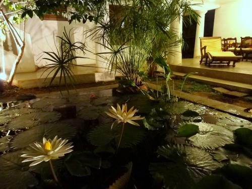 Bed & Breakfast French Lotus