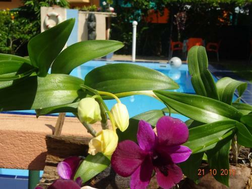 Hotel Hilda Guest House