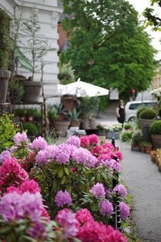 Frogner House Apartments-arbins Gate 3
