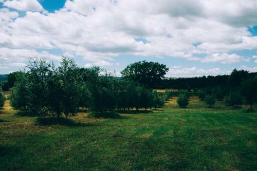 Bed & Breakfast Podere San Francesco
