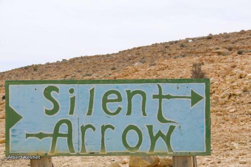 Silent Arrow