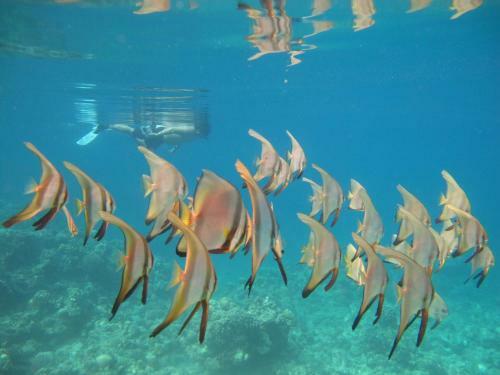Viviendas Turisticas Punta Bulata White Beach Resort & Spa
