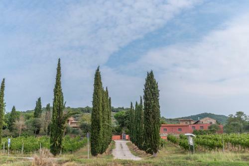 Hostal Agriturismo Le Case Rosse Di Montebuono