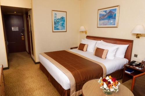 Hotel Carlton Madagascar
