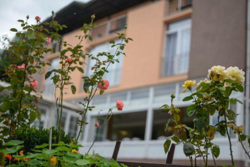 Hostal Guest House Fontana