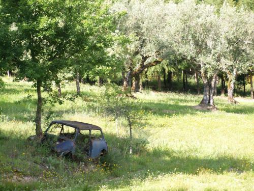 Apartamento Casa Branca