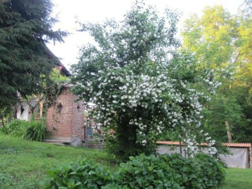Apartamento Il Mulino Di Geminella