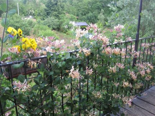 Apartamento Il Mulino Di Geminella