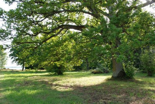 Bed & Breakfast Kristbergs Rusth�ll