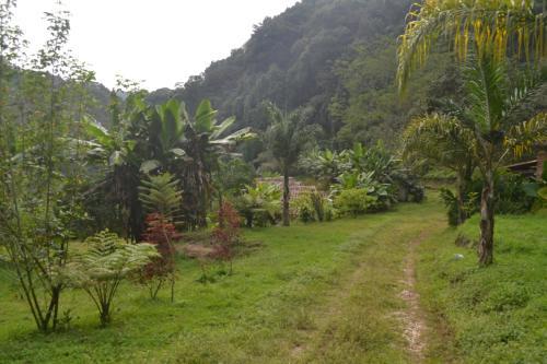 Agroturismo Caba�as La Jicarita