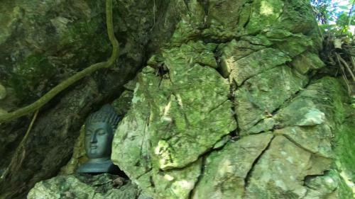 Agroturismo Caba�as La Jicarita