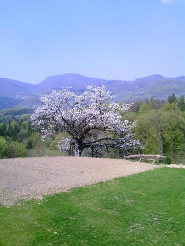Hostal Tourist Farm Marjanca