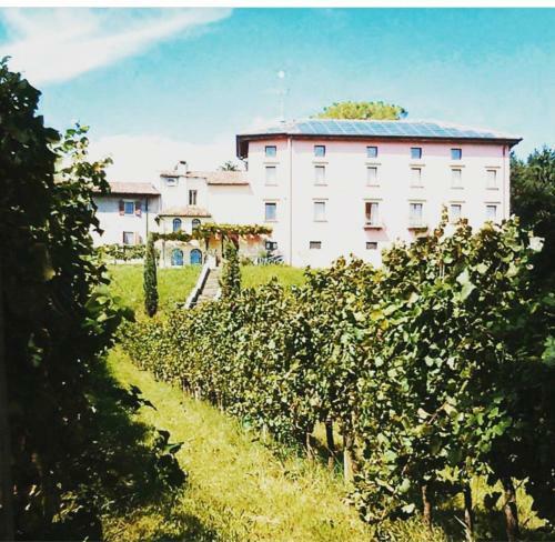 Agroturismo Villa Butussi