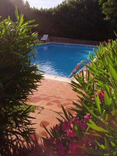 Hostal Azienda Agrituristica Allumiere