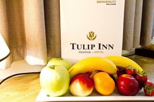 Hotel Tulip Inn Padova