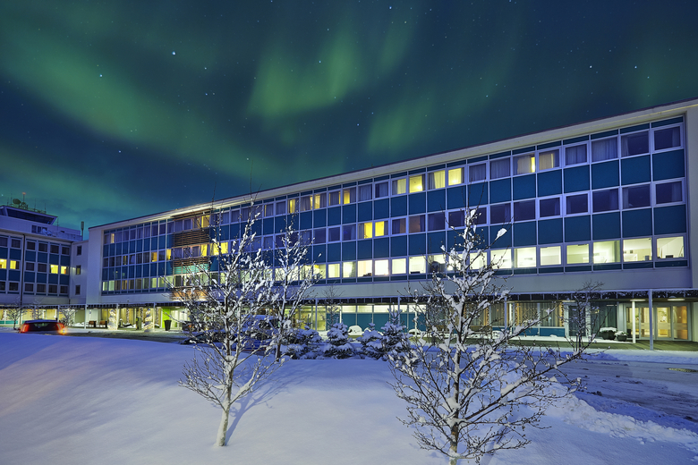 Icelandair Hotel Reykjavik Natura