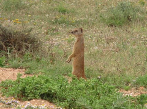 Valley Bushveld Country Lodge