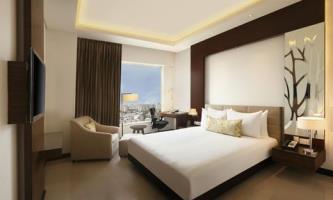 Hotel Hilton Garden Inn Gurgaon Baani Square