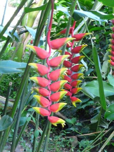 Bed & Breakfast Les Jardins De Cousini�re