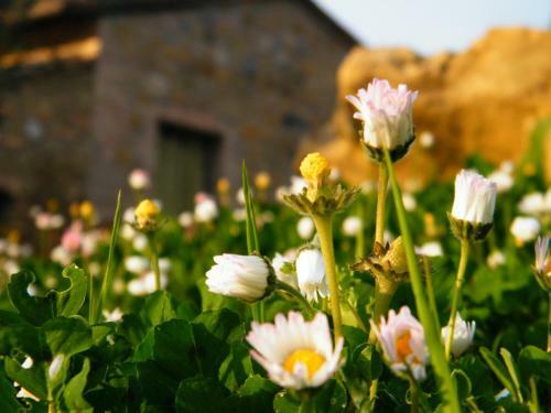 Agroturismo Agriturismo Montegonfoli