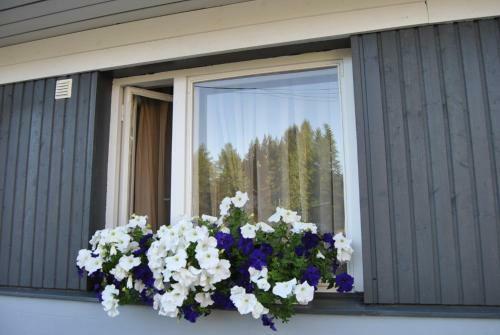 Apartamento Kotka Townhouse