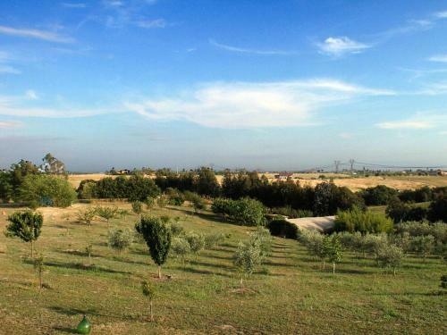 Hostal Costantucci Country House