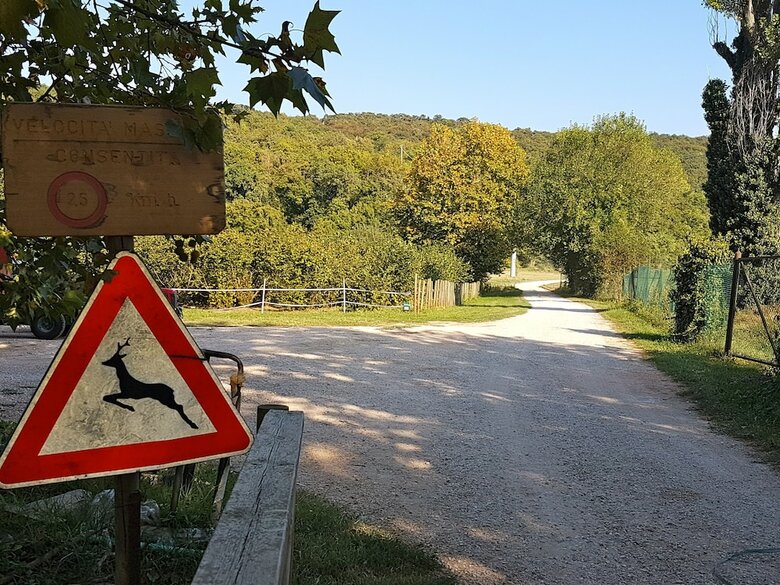 Hostal Musella Winery & Relais