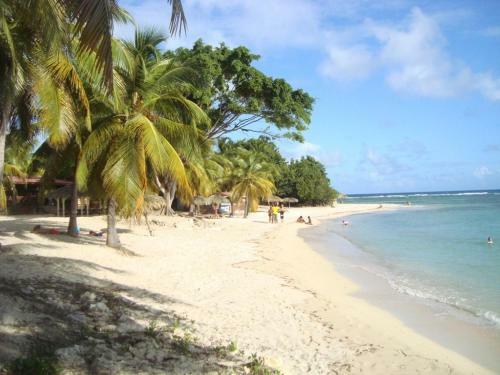 Apartamento Studio Les Grenadines